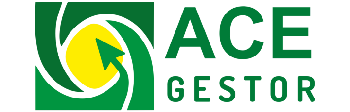 ACE GESTOR